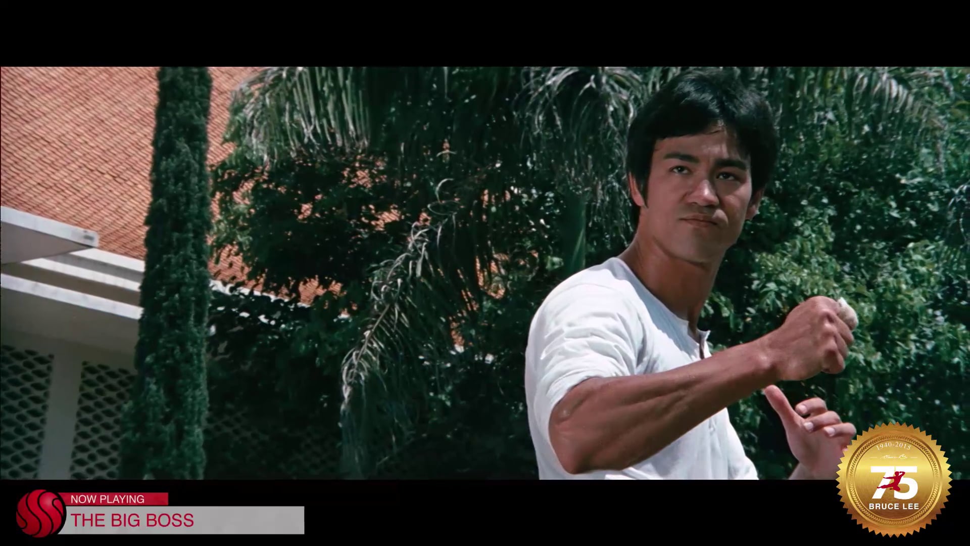 TEASER - Sato] Bruce Lee - The Big Boss on Vimeo