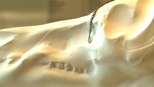 Richness and wealth: High Tea Pot (Wieki Somers)