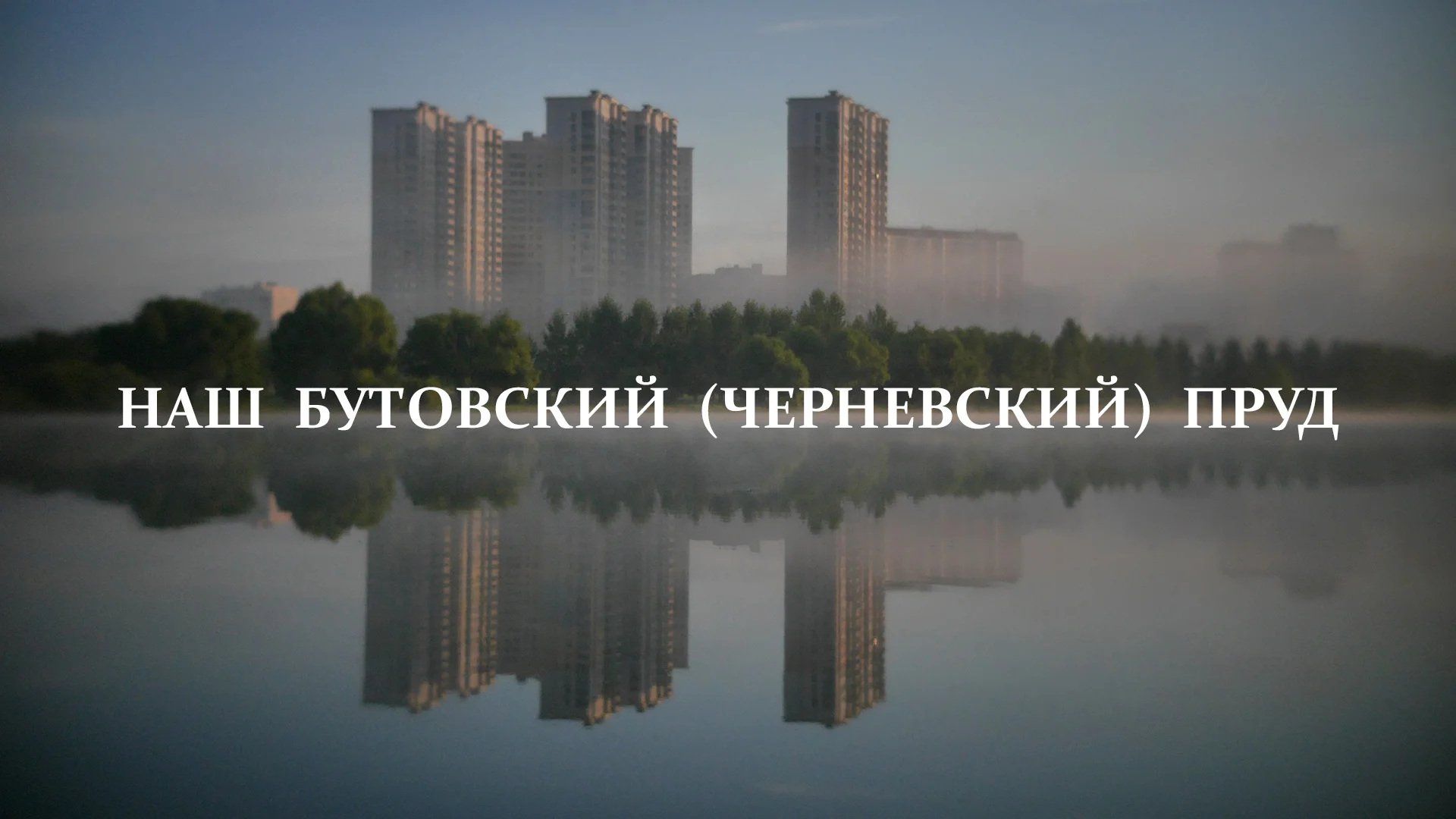 Утонул в бутово. Черневский пруд Бутово. Черневский пруд в Южном Бутово. Южное Бутово Черневский пруд рыба. Северный Полянский пруд Бутово.