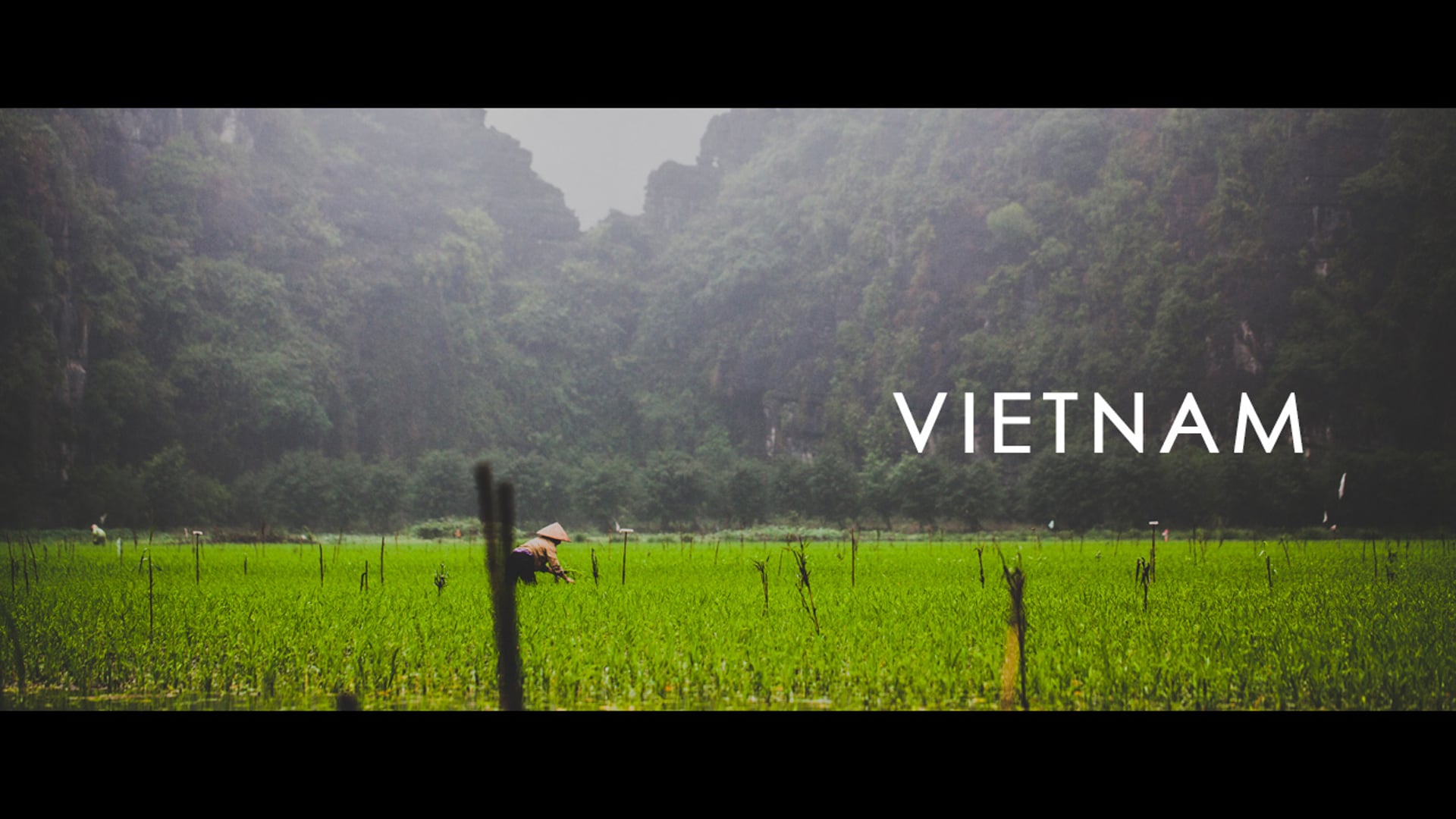 My trip to VIETNAM