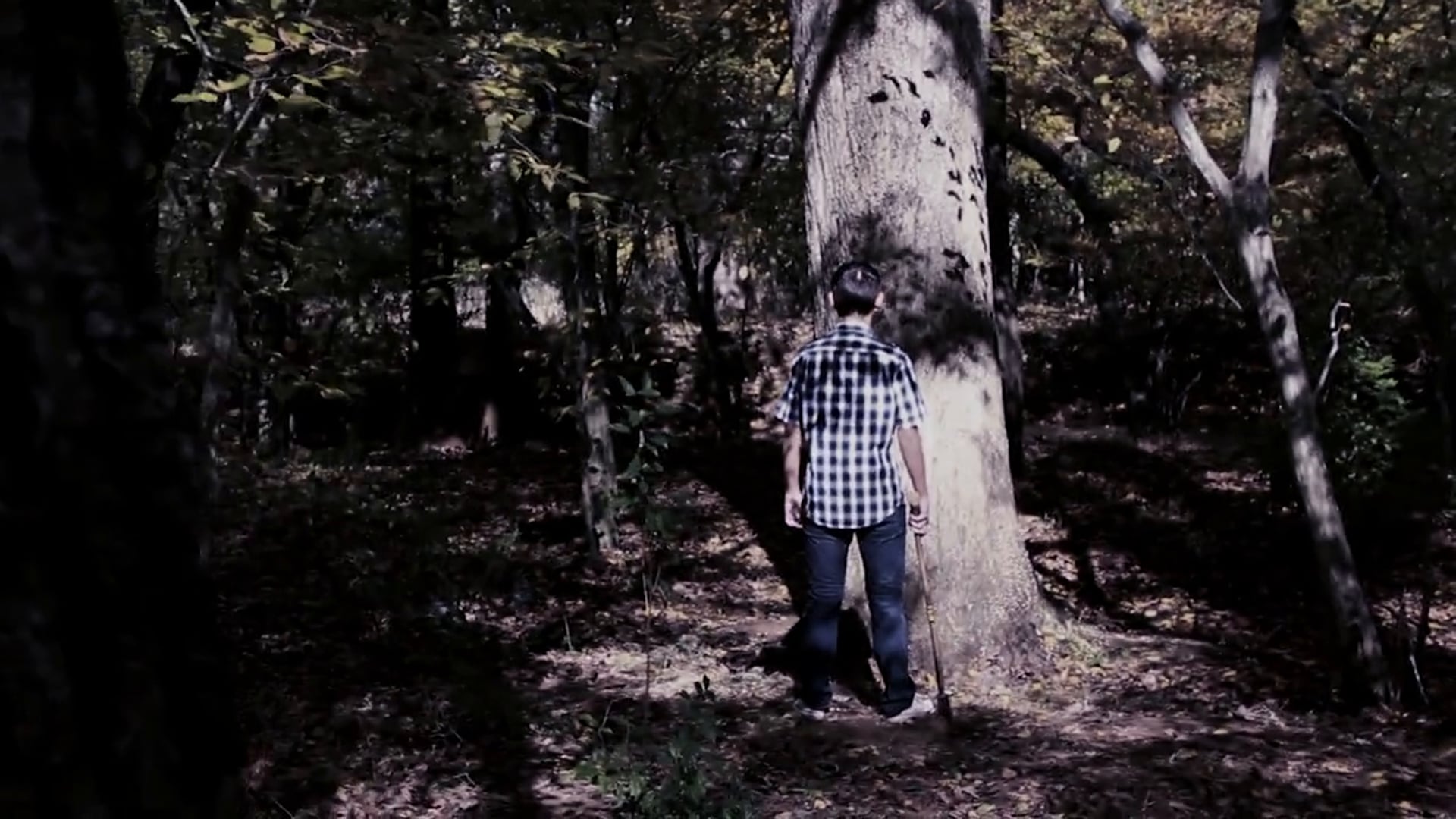 The Devil's Tree