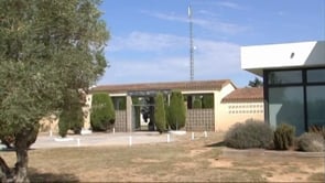 Nova antena de telefonia mòbil 