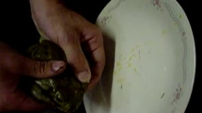 Entheogen, hallucinogen, psychedelic