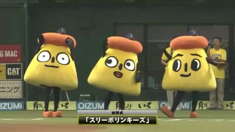 29ページ目 今日は誰が来た 始球式まとめ の無料動画検索結果 パ リーグ Com プロ野球