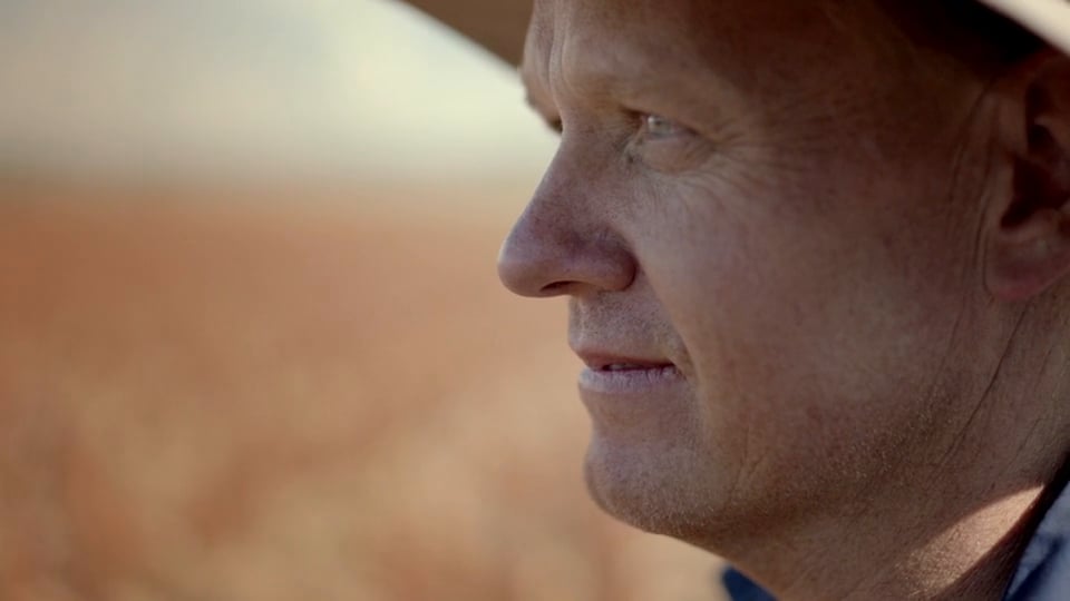 DuPont Pioneer - Clockwork