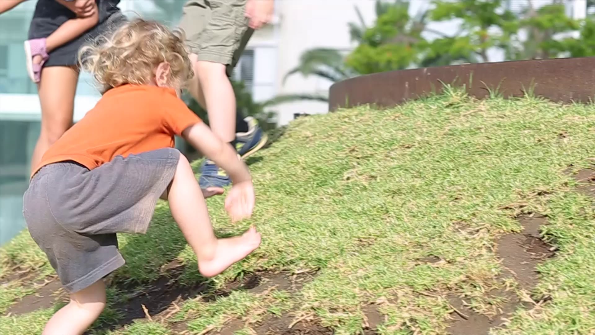 גן עירוני -נעמה סגל