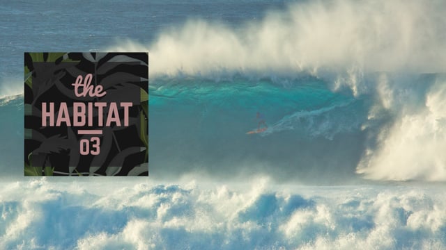 THE HABITAT JAWS ALBEE LAYER EP03 from TAKE SHELTER PRODUCTIONS