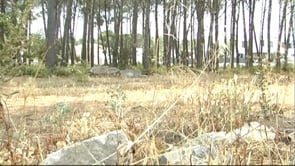 La sequera més important des de 1994