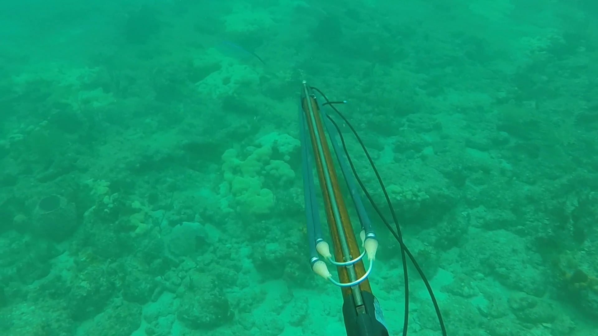 Spearfishing Ft. Lauderdale on Vimeo