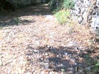 ARCUGNANO – TORNANO A VIVERE I SENTIERI