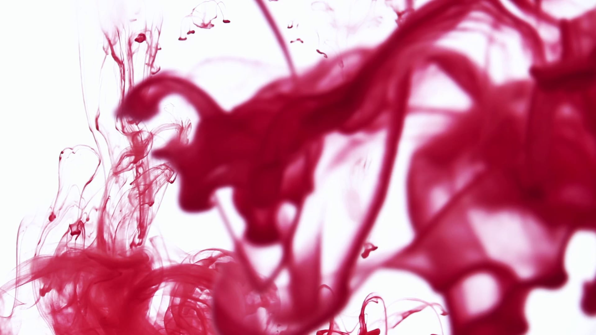 Ink-Splash