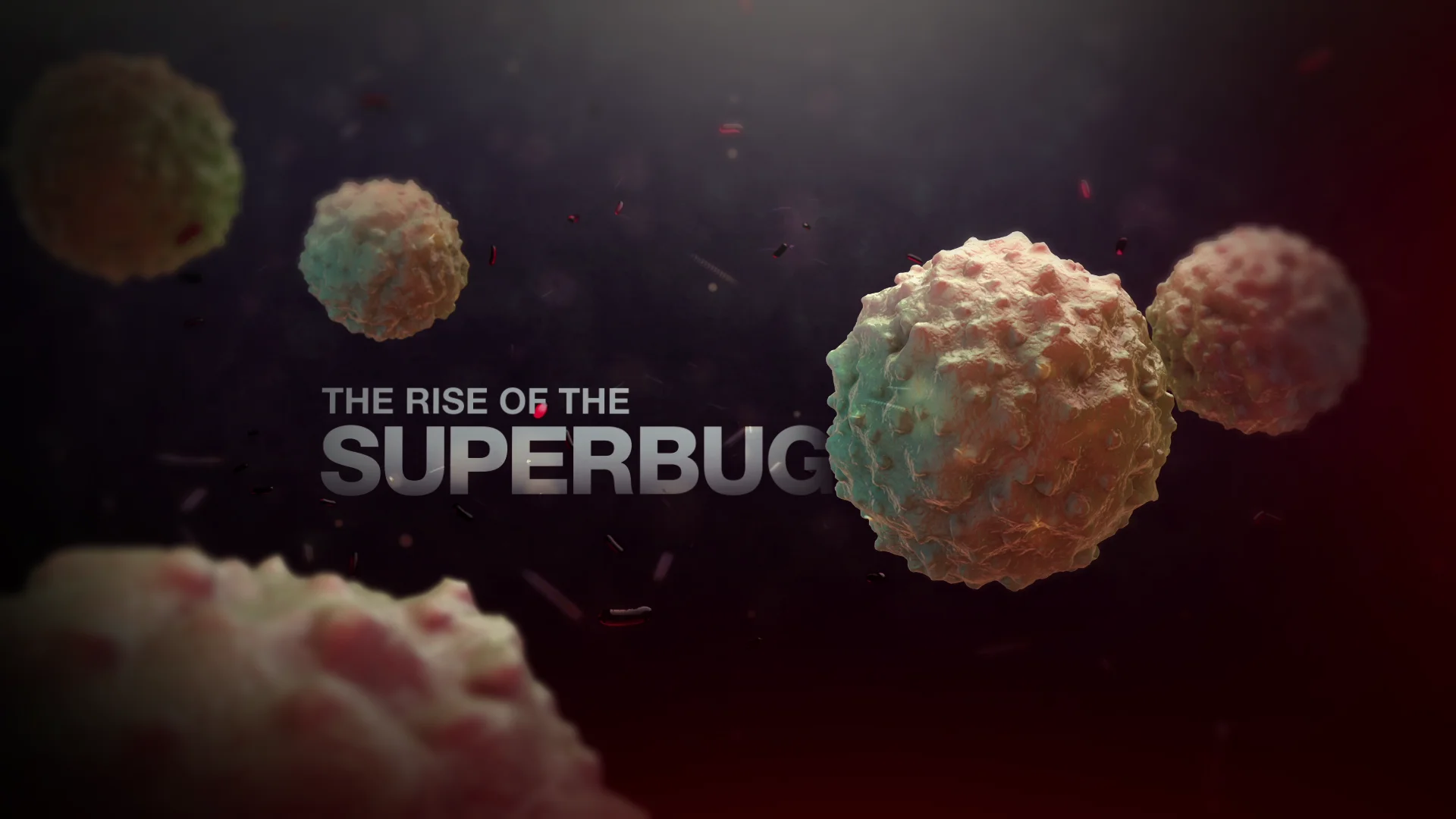Rise Of The Superbugs Video : Rise of the Superbugs Flashcards – VILSCI
