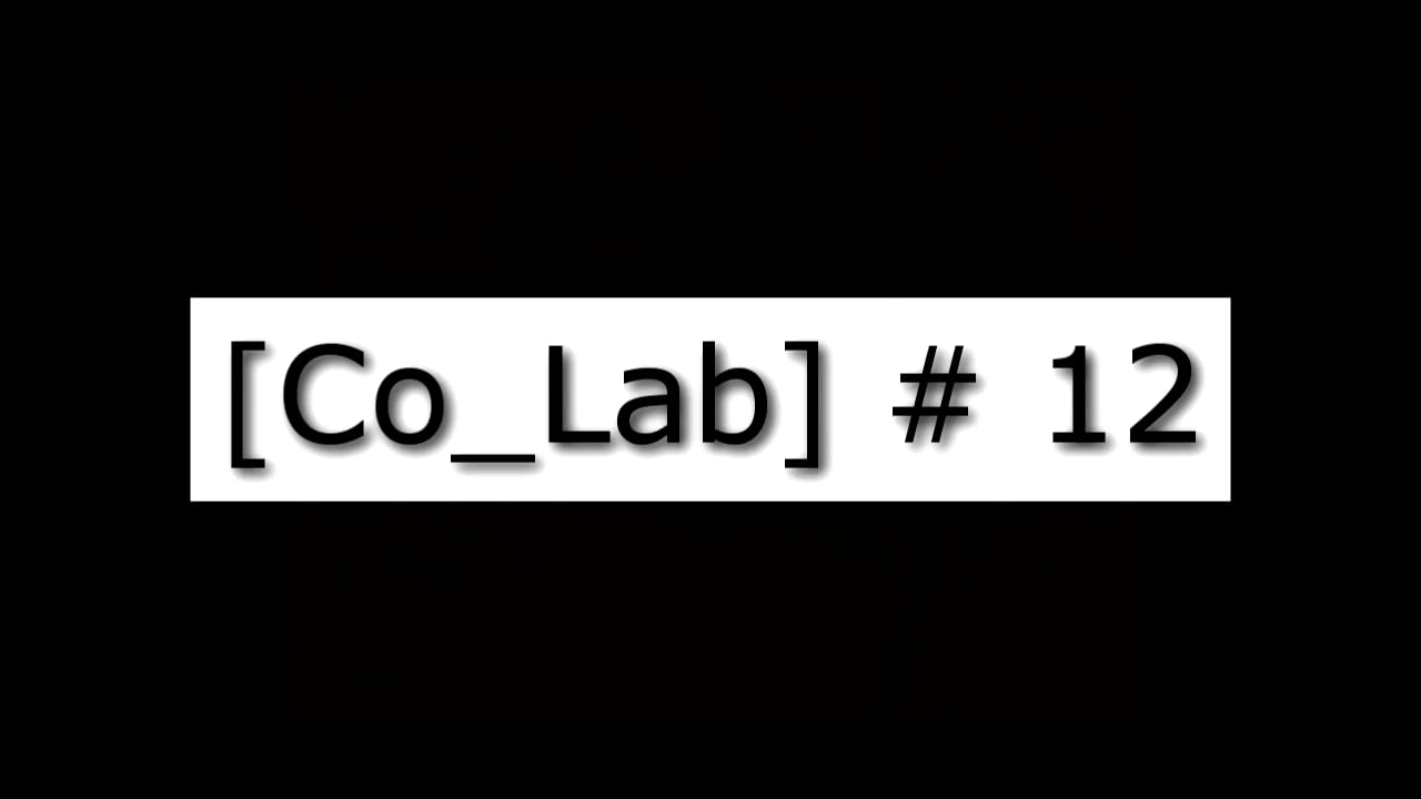 [Co_Lab] #12