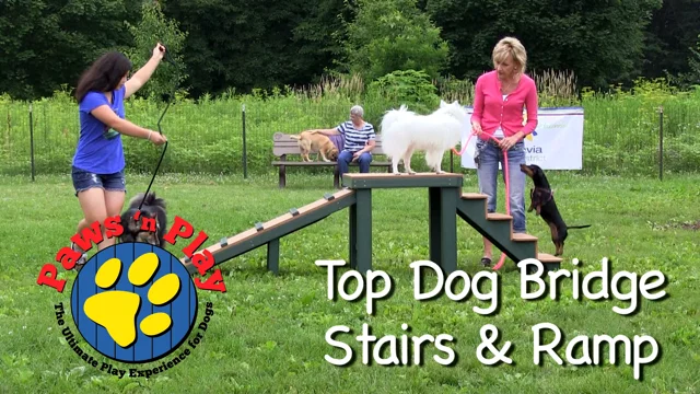 Eco-Friendly Dog Play Equipment & Agility Structures - KirbyBuilt Products