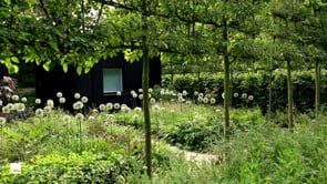 Gate house through the seasons