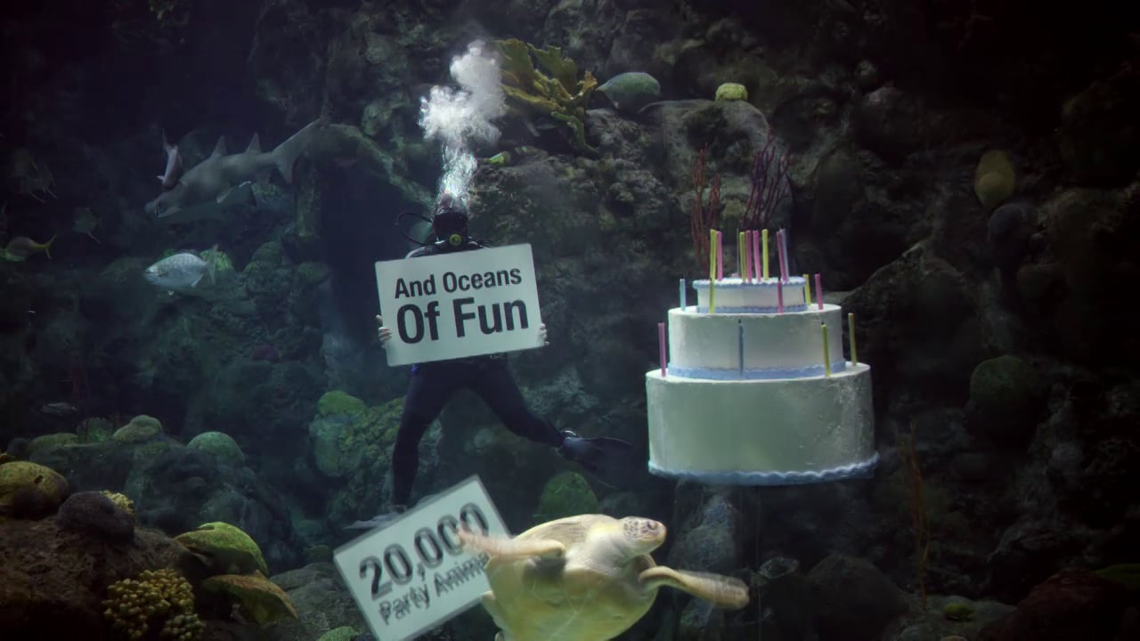 20th Anniversary – Deep Sea Diva