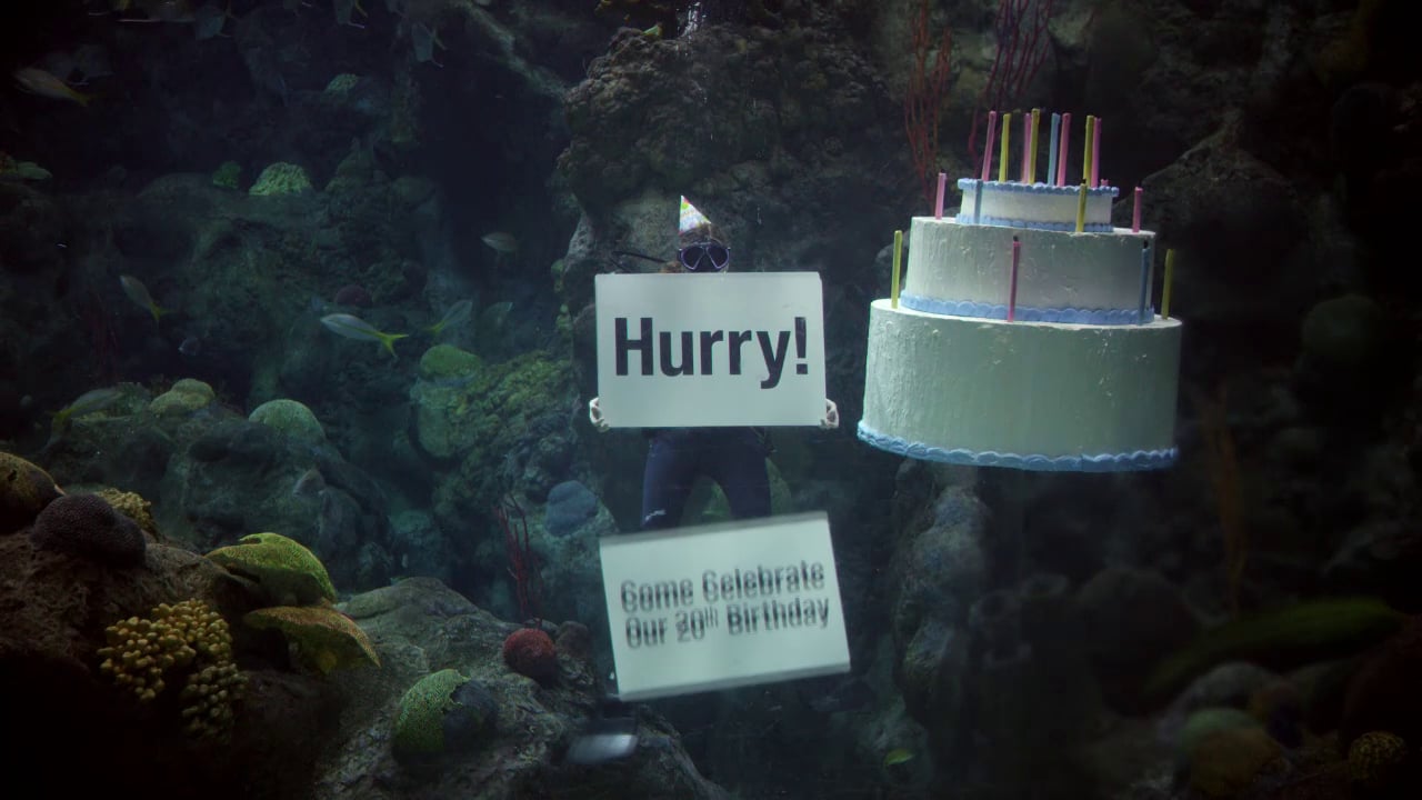 20th Anniversary – Shark Cake