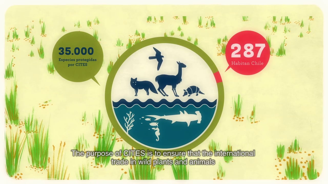 CITES en Chile