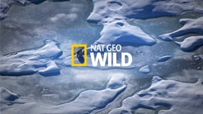 Videos in "NATIONAL GEOGRAPHIC" on Vimeo