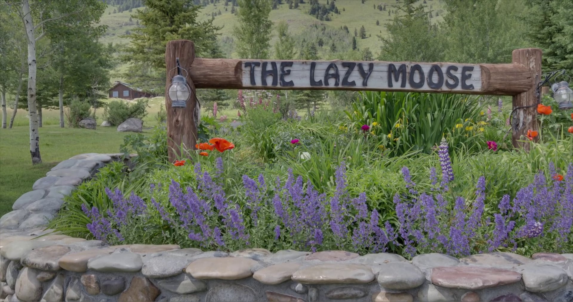 Lazy Moose Ranch Branded on Vimeo
