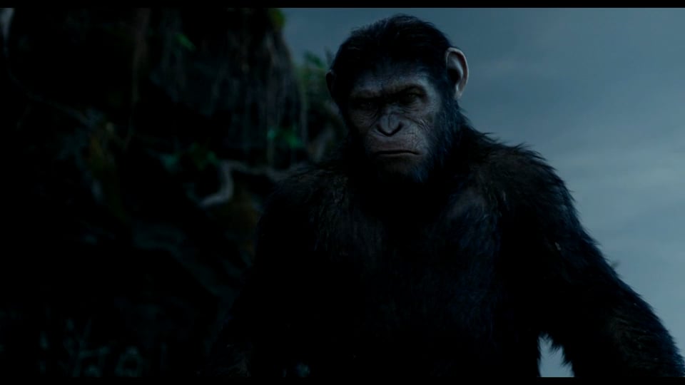 Dawn of the Planet of the Apes | TV Spot 