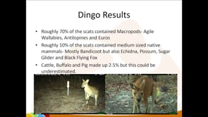 Kakadu feral cat fence research update – cat and dingo diet analysis