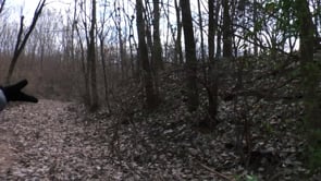 pruitt igoe myth online