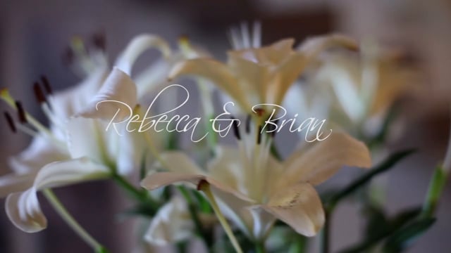 Rebecca & Brian |Capo Bay Wedding Trailer