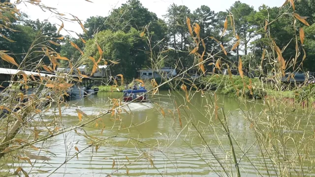 Crappie Capital of the World - Alabama Power Shorelines