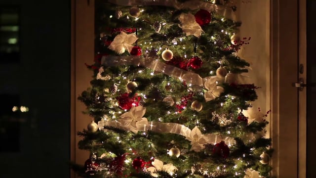 30以上の無料クリスマスツリー クリスマス動画 Hd 4kクリップ Pixabay