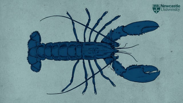 Great North Museum - Customer Success Story