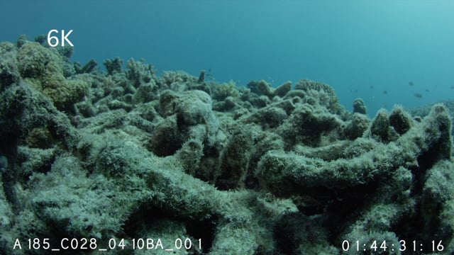 Coral rubble after cyclone 6K