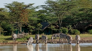 Serena Sweetwaters Tented Camp