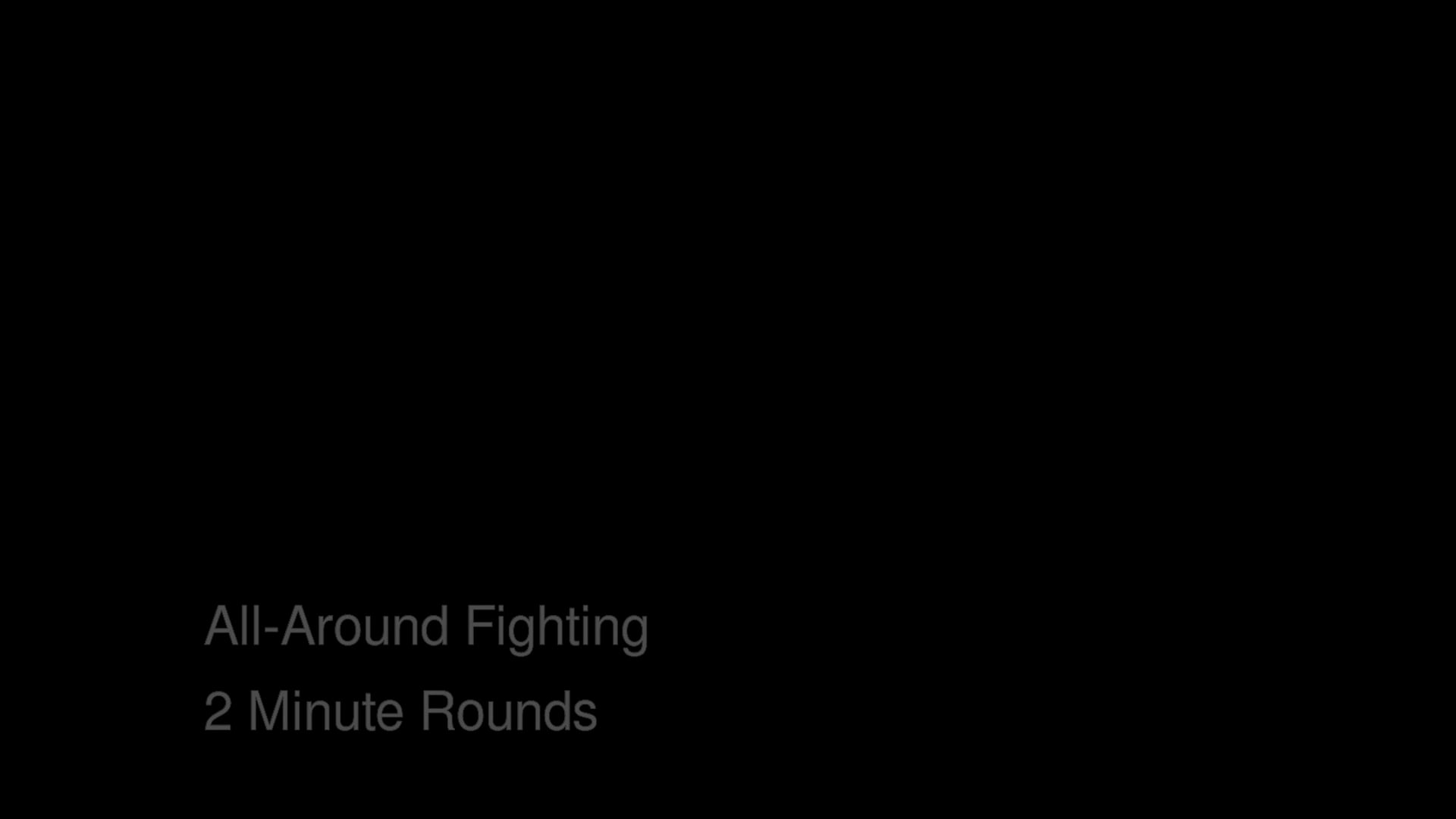 Bas Rutten's MMA Workout - All Around Fighting - 2 Minute Rounds