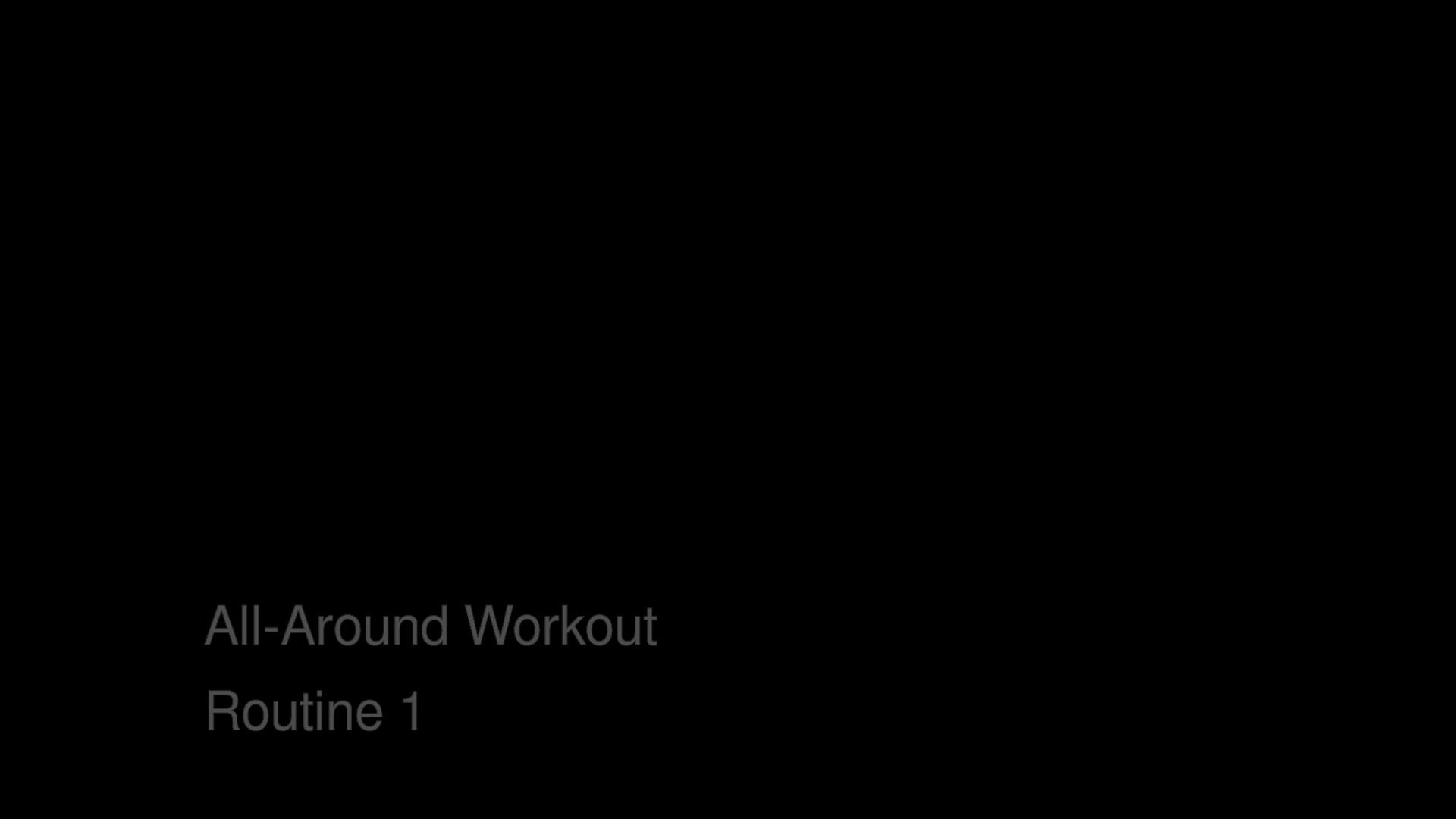 Bas Rutten's MMA Workout - All Around Workout - Routine 1