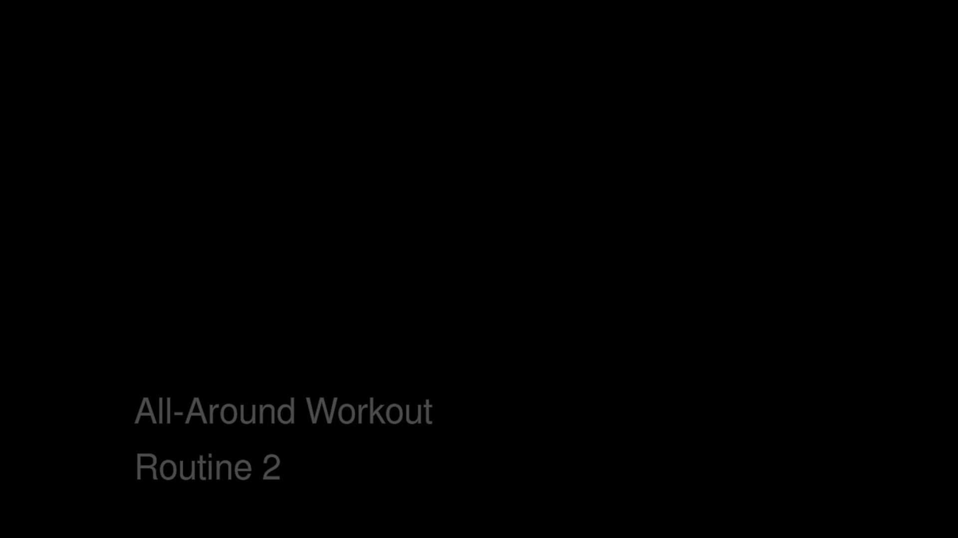 Bas Rutten's MMA Workout - All Around Workout - Routine 2