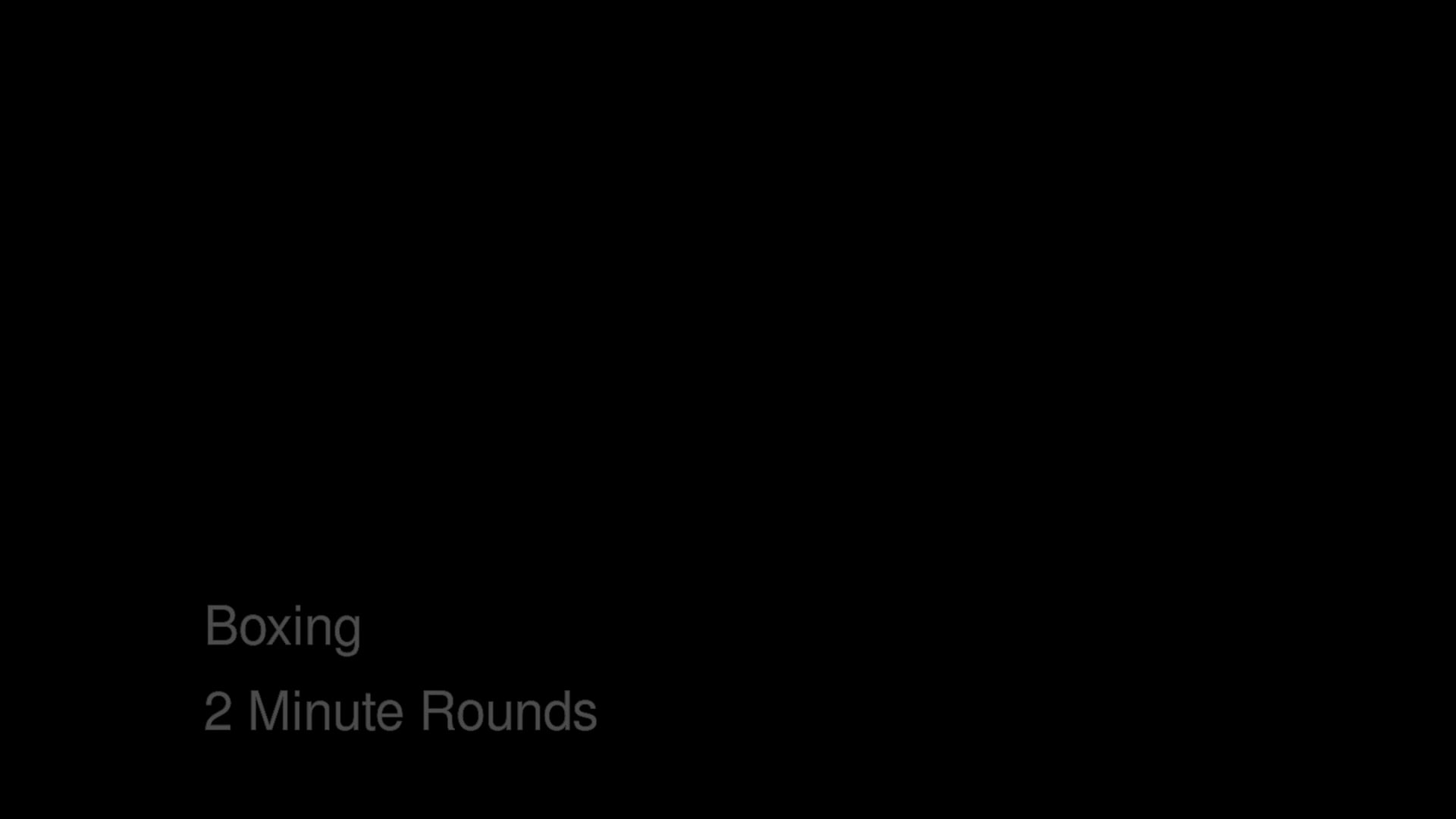 Bas Rutten's MMA Workout - Boxing - 2 Minute Rounds