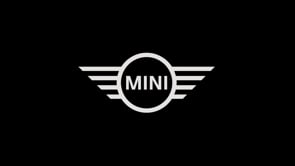 Mini - Customer Success Story