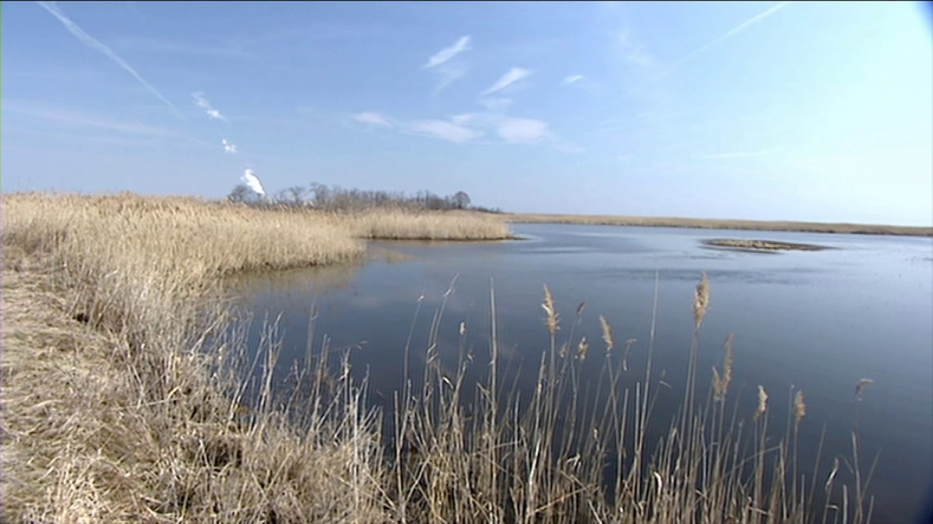 "Blackbird: Delaware's Undiscovered Treasure"