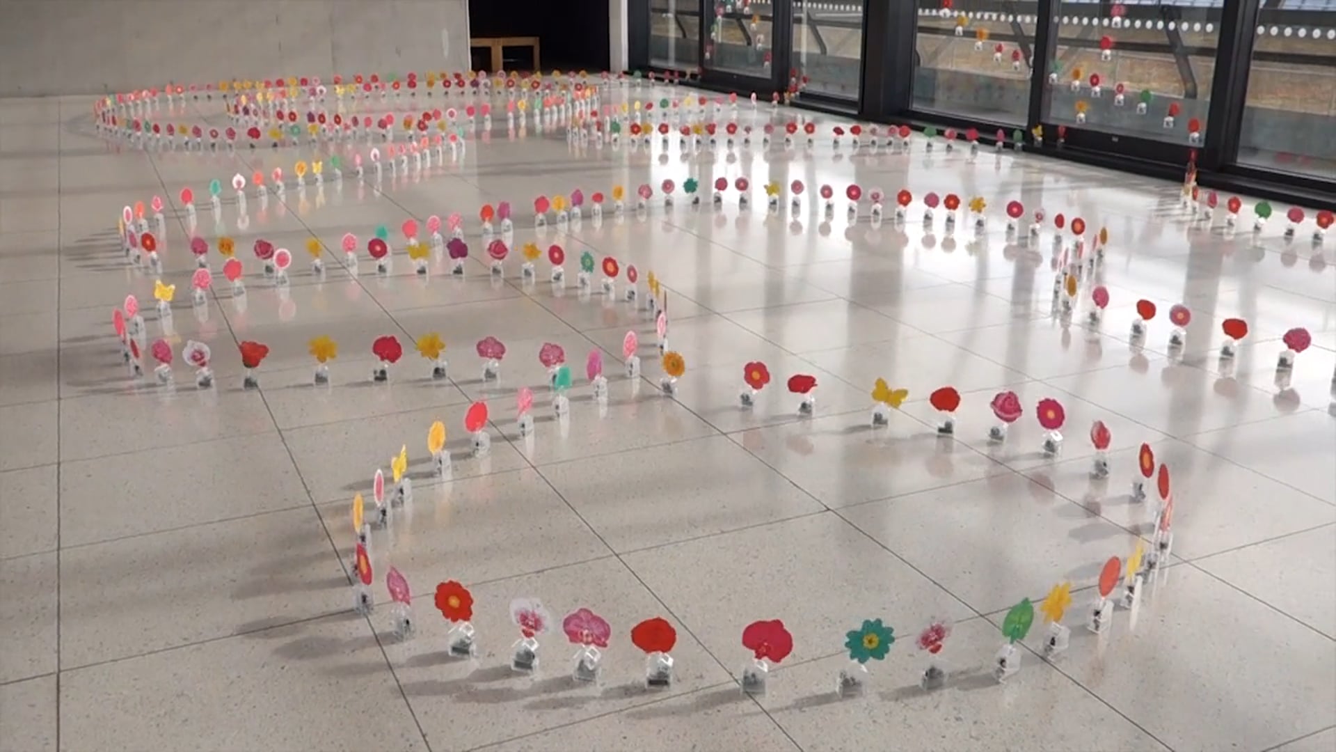 Dancing Solar Flower - Gallery Oldham