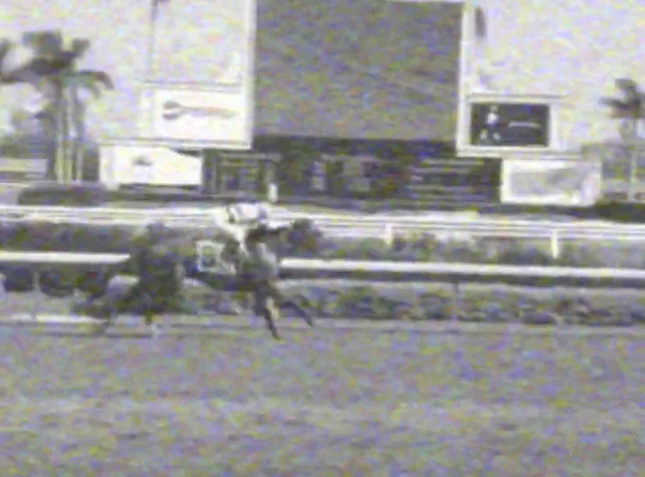 Horse_Race on Vimeo