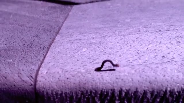 To be / Video art