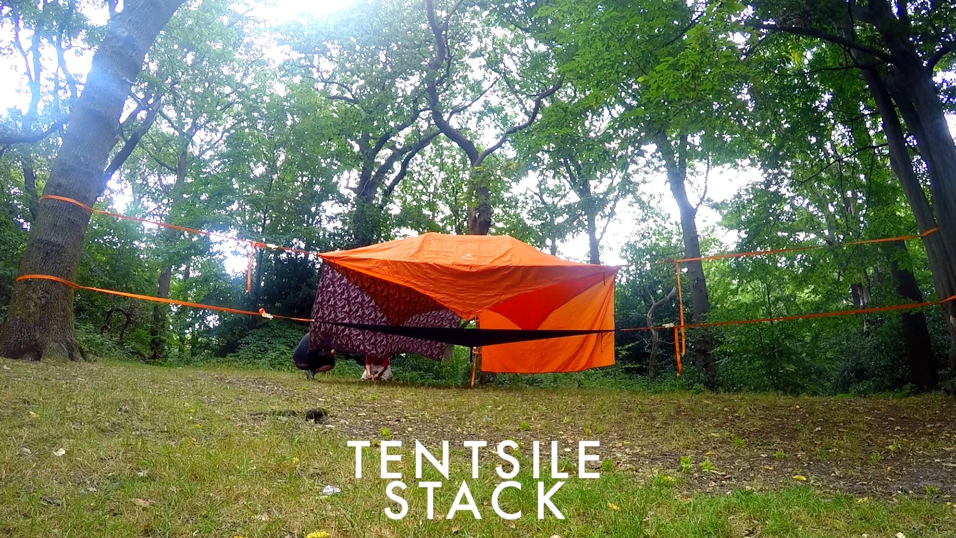 Double Bubble - Tentsile Asia