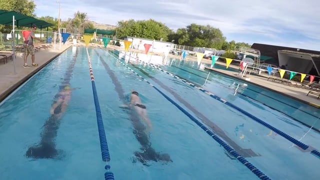Swim L2 Bulker