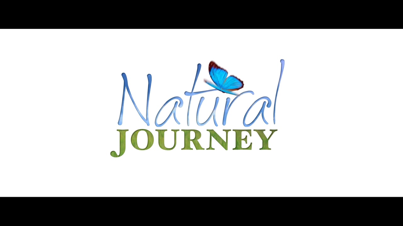 Natural Journey Childcare Center