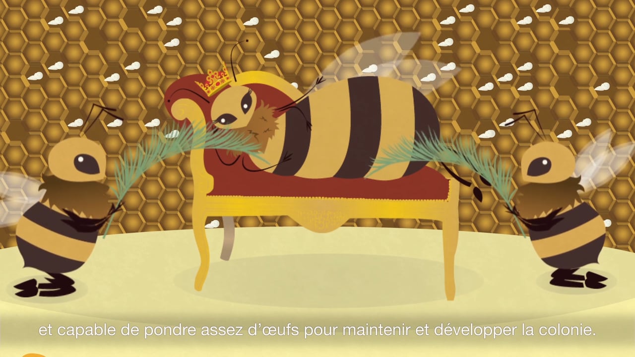 Les métiers des abeilles on Vimeo