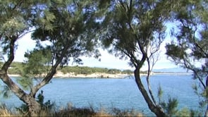 S'acaba el tram de camí de ronda que passa pel Pedró