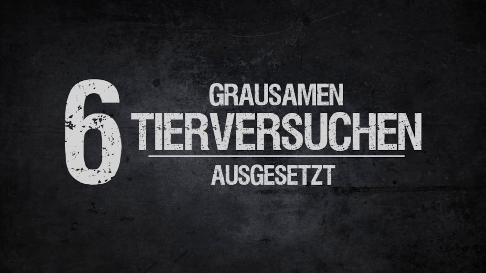 8 Horrorszenarien