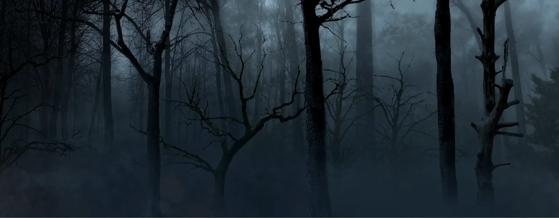 Тёмный лес Дрим кор. Dark Ambient Forest. Символы из клипа Ghost in the Fog. 2000 - Her Ghost in the Fog (Single).