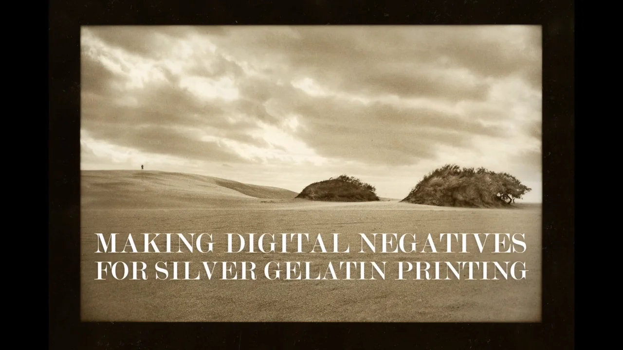 The Silver Gelatin Process